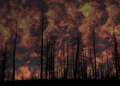 فراوری ژل ویژه برای جلوگیری از آتش سوزی جنگل ها